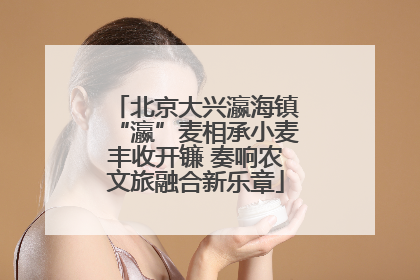 北京大兴瀛海镇“瀛”麦相承小麦丰收开镰 奏响农文旅融合新乐章