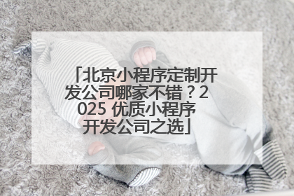北京小程序定制开发公司哪家不错？2025 优质小程序开发公司之选
