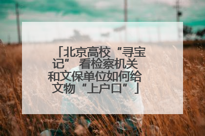 北京高校“寻宝记” 看检察机关和文保单位如何给文物“上户口”