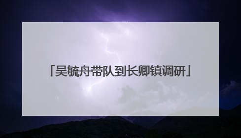 吴毓舟带队到长卿镇调研