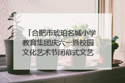 合肥市琥珀名城小学教育集团庆六一暨校园文化艺术节闭幕式文艺汇演圆满举行