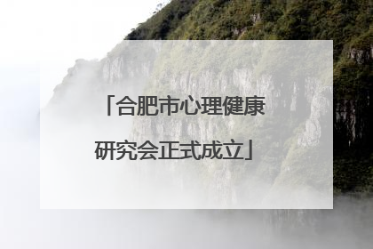 合肥市心理健康研究会正式成立