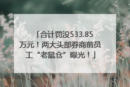 合计罚没533.85万元！两大头部券商前员工“老鼠仓”曝光！