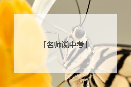名师说中考