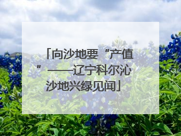 向沙地要“产值”——辽宁科尔沁沙地兴绿见闻