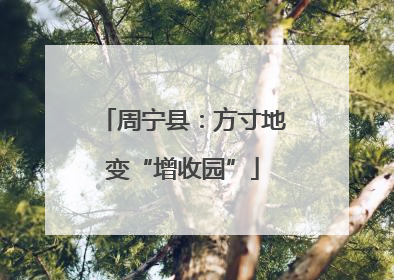 周宁县：方寸地变“增收园”