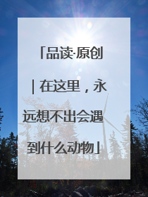 品读·原创｜在这里，永远想不出会遇到什么动物