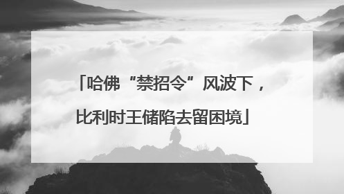 哈佛“禁招令”风波下，比利时王储陷去留困境