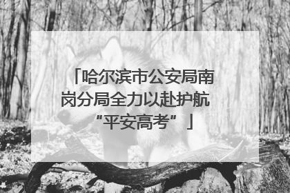 哈尔滨市公安局南岗分局全力以赴护航“平安高考”