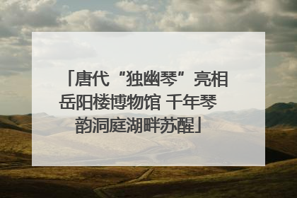 唐代“独幽琴”亮相岳阳楼博物馆 千年琴韵洞庭湖畔苏醒