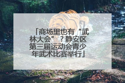 商场里也有“武林大会”？静安区第三届运动会青少年武术比赛举行