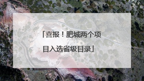 喜报！肥城两个项目入选省级目录