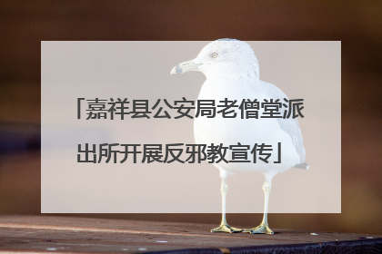 嘉祥县公安局老僧堂派出所开展反邪教宣传