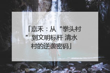 嘉禾：从“拳头村”到文明标杆 清水村的逆袭密码