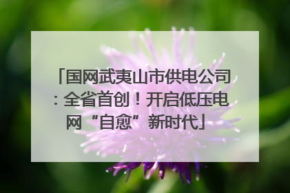 国网武夷山市供电公司：全省首创！开启低压电网“自愈”新时代