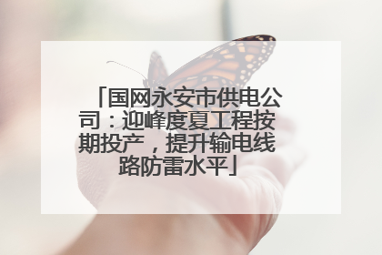 国网永安市供电公司：迎峰度夏工程按期投产，提升输电线路防雷水平