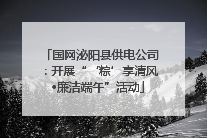 国网泌阳县供电公司：开展“‘粽’享清风 •廉洁端午”活动