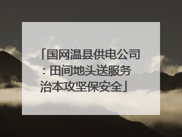 国网温县供电公司：田间地头送服务 治本攻坚保安全