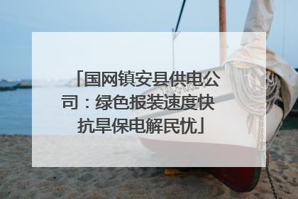 国网镇安县供电公司：绿色报装速度快 抗旱保电解民忧