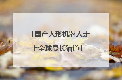 国产人形机器人走上全球最长猫道