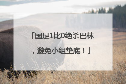 国足1比0绝杀巴林,避免小组垫底!