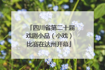 四川省第二十届戏剧小品（小戏）比赛在达州开幕