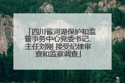 四川省河湖保护和监管事务中心党委书记、主任刘刚 接受纪律审查和监察调查