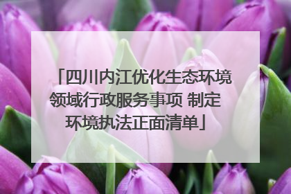 四川内江优化生态环境领域行政服务事项 制定环境执法正面清单