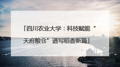 四川农业大学：科技赋能“天府粮仓”谱写稻香新篇