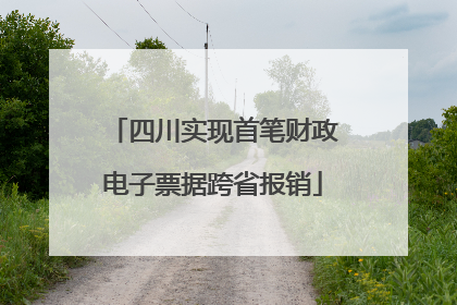 四川实现首笔财政电子票据跨省报销