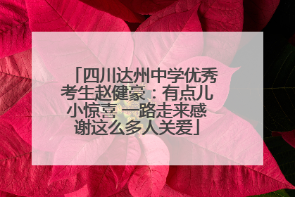 四川达州中学优秀考生赵健豪：有点儿小惊喜 一路走来感谢这么多人关爱