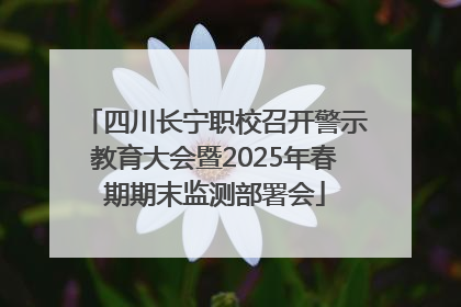 四川长宁职校召开警示教育大会暨2025年春期期末监测部署会