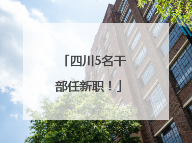 四川5名干部任新职！