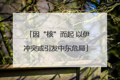 因“核”而起 以伊冲突或引发中东危局