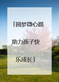 圆梦微心愿 助力孩子快乐成长