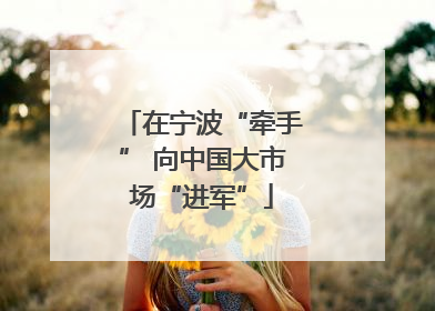 在宁波“牵手” 向中国大市场“进军”
