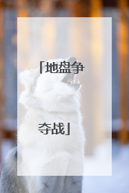 地盘争夺战