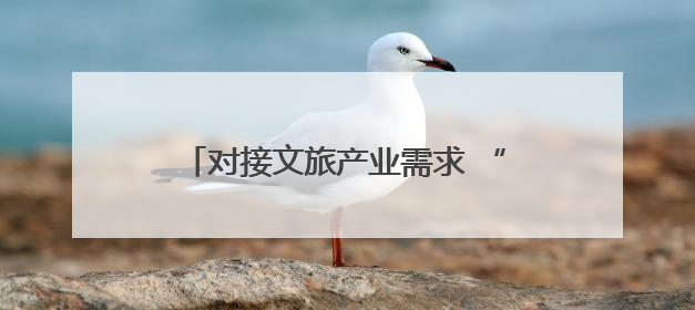 对接文旅产业需求 “新角色”展现美好前景