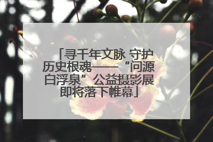 寻千年文脉 守护历史根魂——“问源白浮泉”公益摄影展即将落下帷幕