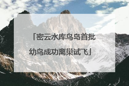 密云水库鸟岛首批幼鸟成功离巢试飞