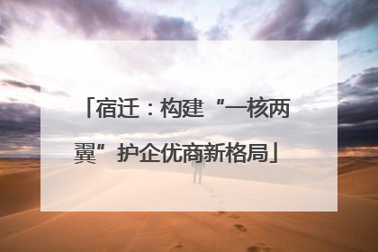 宿迁：构建“一核两翼”护企优商新格局