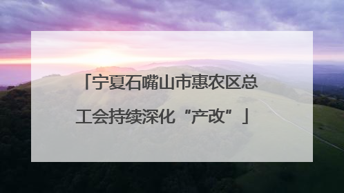 宁夏石嘴山市惠农区总工会持续深化“产改”