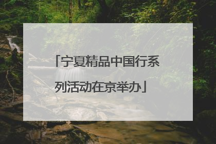 宁夏精品中国行系列活动在京举办