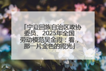 宁夏回族自治区政协委员、2025年全国劳动模范吴金霞：看，那一片金色的霞光