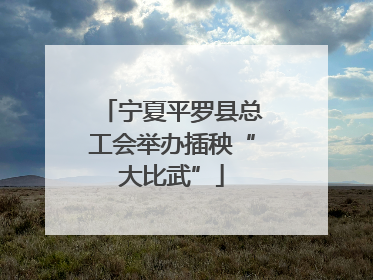 宁夏平罗县总工会举办插秧“大比武”