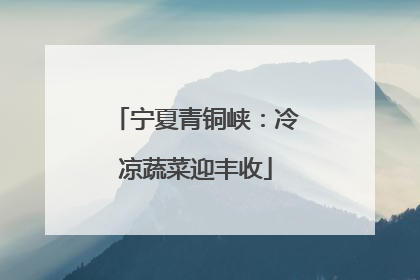宁夏青铜峡：冷凉蔬菜迎丰收