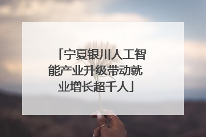 宁夏银川人工智能产业升级带动就业增长超千人