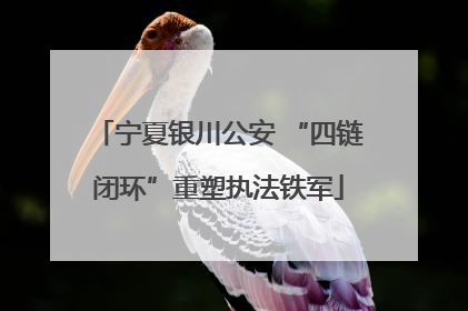 宁夏银川公安 “四链闭环”重塑执法铁军