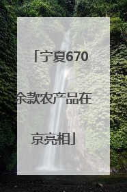 宁夏670余款农产品在京亮相