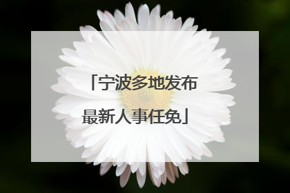 宁波多地发布最新人事任免
